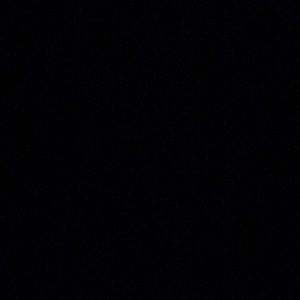 Meet your Posher, Maya